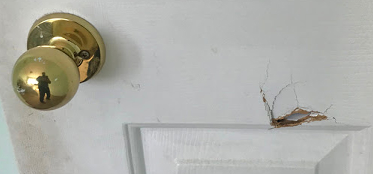 interior door hole repair Alpine