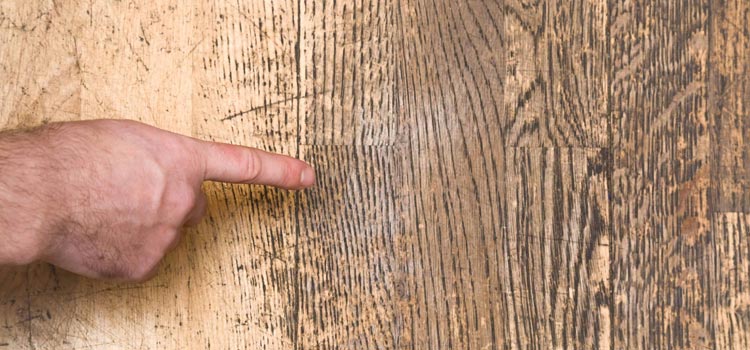 Wood Door Scratch Repair in Alpine